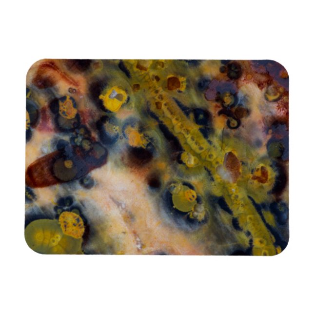 Abstract close up of Ocean Jasper Magnet (Horizontal)