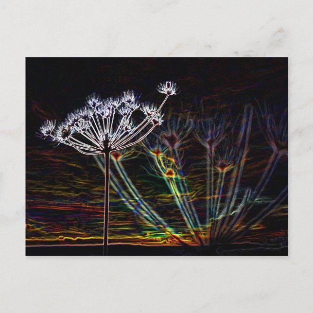 Abstract Cow Parsley post card (Front)