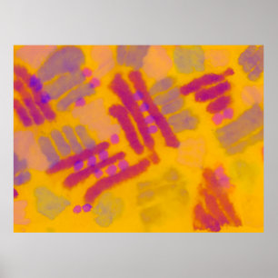 Abstract creative drawing. Autumn Colour backgroun Poster