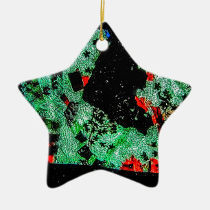 Abstract dry flower Ornament star recycled plastic