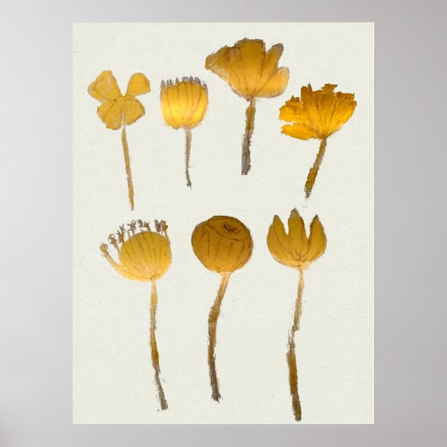 Abstract Dry Flowers Collection Poster (Front)