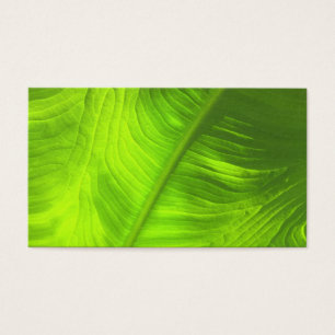 Abstract Elephant Ear Photo w/ Blank Back