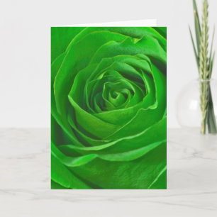 Abstract Emerald Green Rose Centre Photograph Card