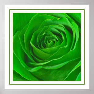 Abstract Emerald Green Rose Centre Photograph Poster