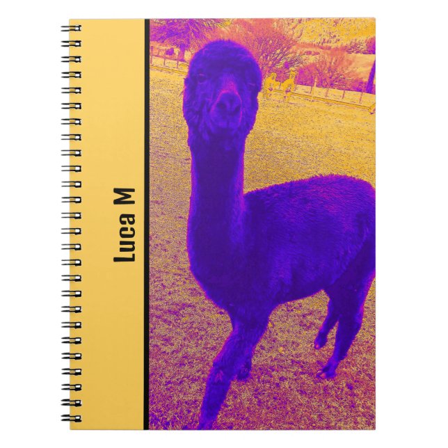 ABSTRACT EYE-CATCHING BRIGHT ALPACA IMAGE CUSTOM NOTEBOOK (Front)