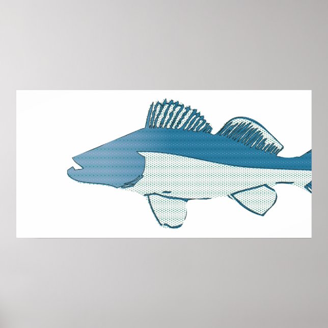abstract fish- bass poster (Front)