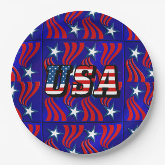 Abstract Flag Pattern with USA Text Paper Plates