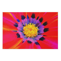 abstract flora