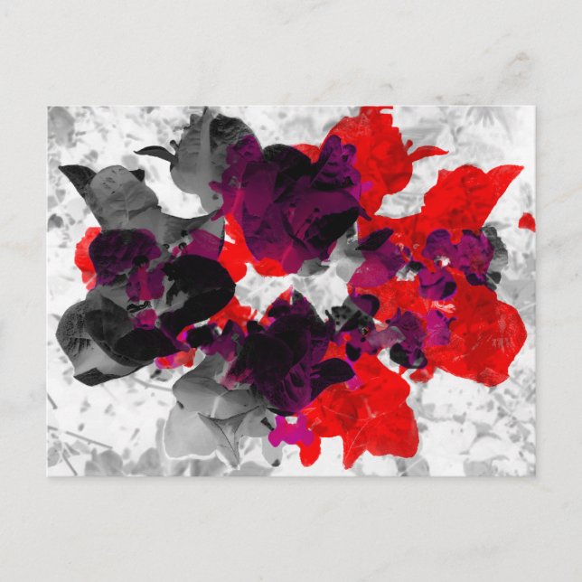 Abstract floral design - red and purple over white postcard (Front)