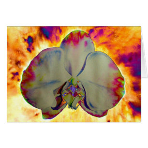 Abstract floral tropical orchid painting