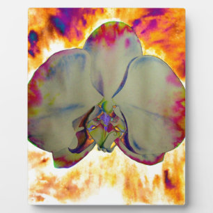 Abstract floral tropical orchid painting plaque