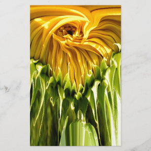 Abstract funky retro Sunflower, scared geometry 