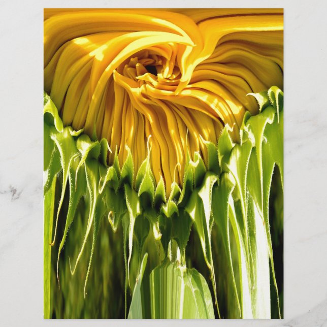 Abstract funky retro Sunflower, scared geometry  (Front)