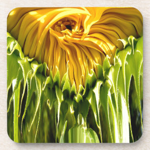 Abstract funky retro Sunflower, scared geometry  Coaster