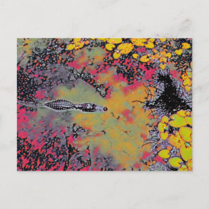 Abstract Gator Postcard