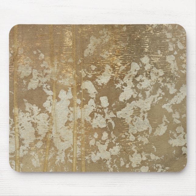 Abstract Gold Painting with Silver Speckles Mouse Pad (Front)
