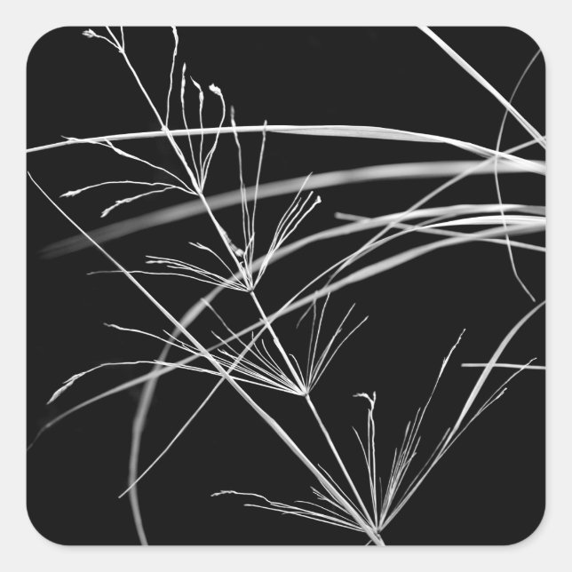 Abstract Grass Nature Stickers (Front)
