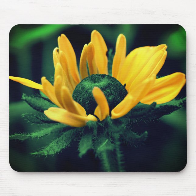 Abstract Green Black Eyed Susan Flower Art Mouse Pad (Front)