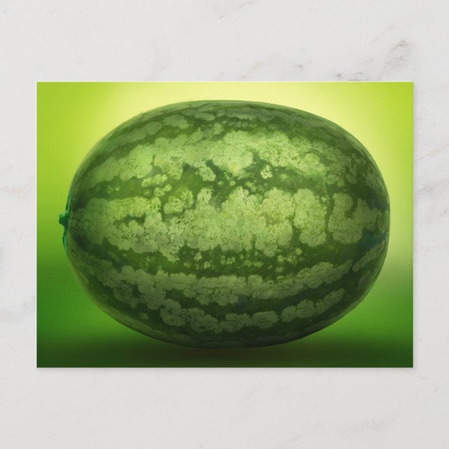 Abstract Green Rind of a Watermelon Postcard (Front)