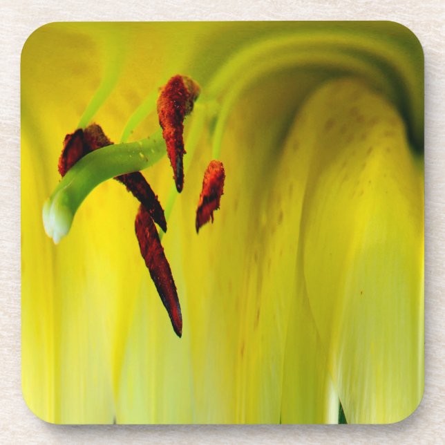 Abstract Macro Lily Stamen Floral Cork Coaster Set (Front)