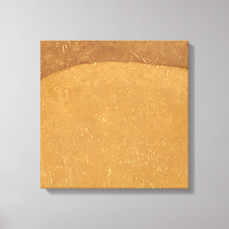 Abstract Mud Wall Texture Canvas Print
