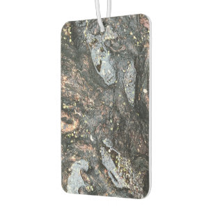 Abstract Nature Photography Tree Rain Water Puddle Car Air Freshener