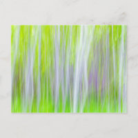 Abstract of Aspen Trees | Yakima River Trail, WA