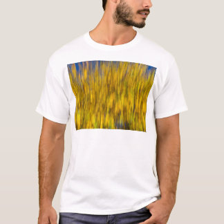Abstract of Autumn T-Shirt