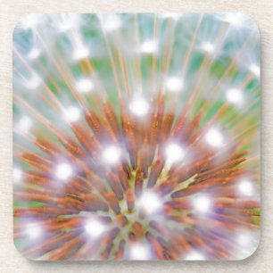 Abstract of dandelion seed head coaster