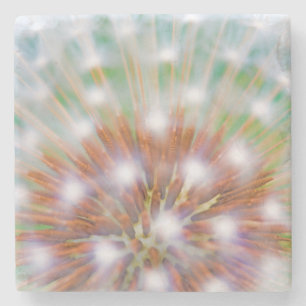 Abstract of dandelion seed head stone coaster