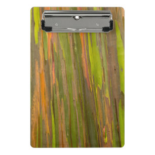 Abstract Of Eucalyptus Bark Mini Clipboard