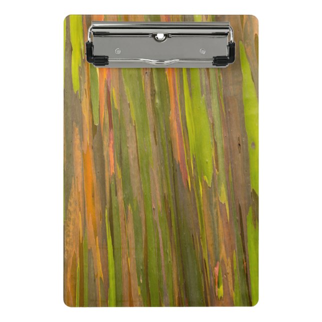Abstract Of Eucalyptus Bark Mini Clipboard (Front)