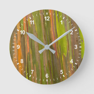 Abstract Of Eucalyptus Bark Round Clock