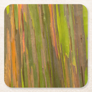 Abstract Of Eucalyptus Bark Square Paper Coaster