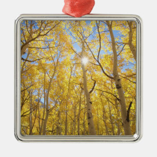 Abstract of Gilia Amidst Wildflowers   California Metal Tree Decoration
