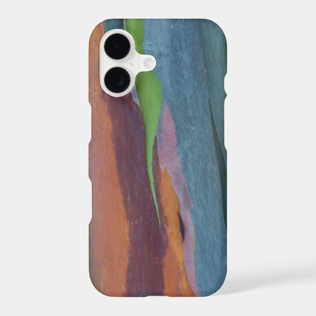 Abstract Of Rainbow Gum Tree (Back)