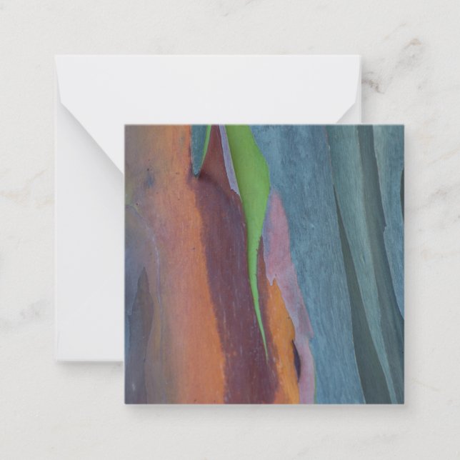 Abstract Of Rainbow Gum Tree Card (Front)
