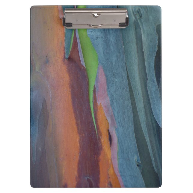 Abstract Of Rainbow Gum Tree Clipboard (Front)