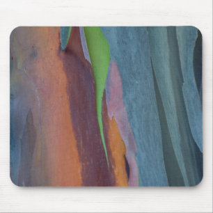 Abstract Of Rainbow Gum Tree Mouse Pad