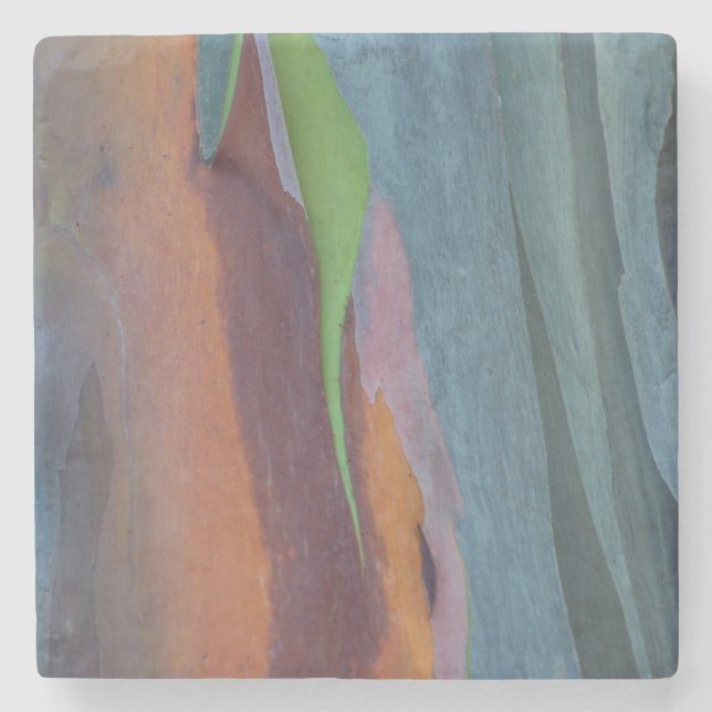 Abstract Of Rainbow Gum Tree Stone Coaster (Front)