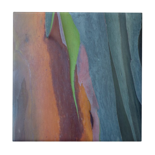 Abstract Of Rainbow Gum Tree Tile (Front)