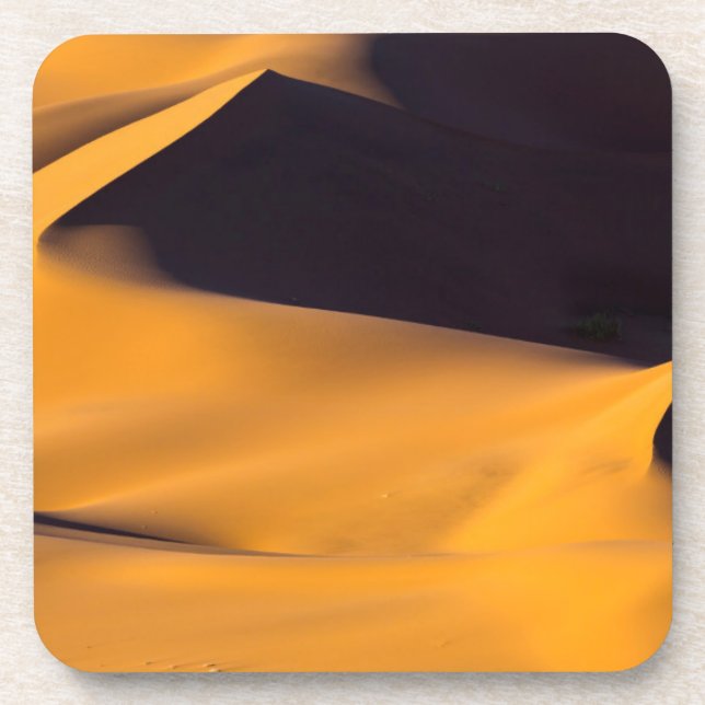 Abstract of sand dune coaster (Front)