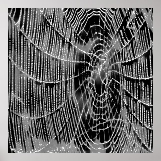 Abstract Painting Of A Grey White Cobweb On Black Poster (Front)