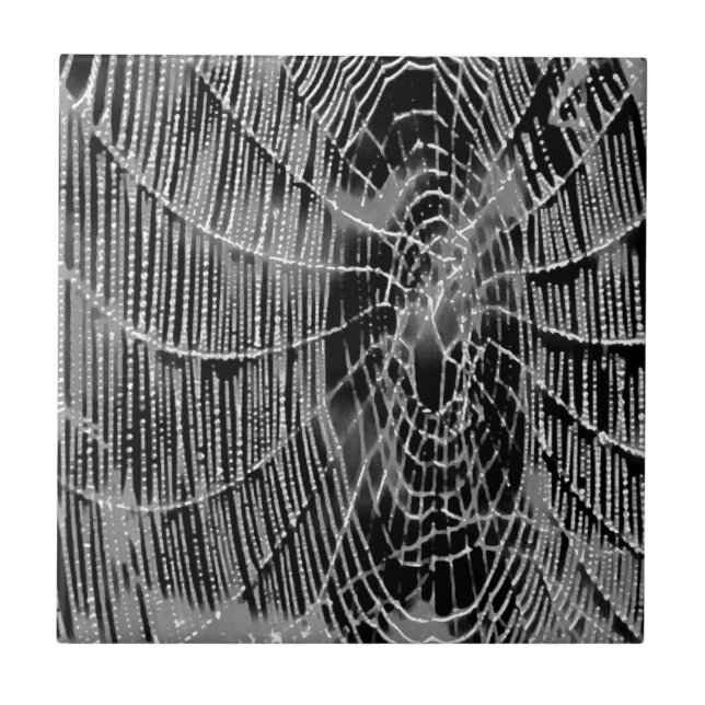 Abstract Painting Of A Grey White Cobweb On Black Tile (Front)