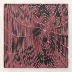 Abstract Painting Of A Magenta Pink Cobweb Glass Coaster