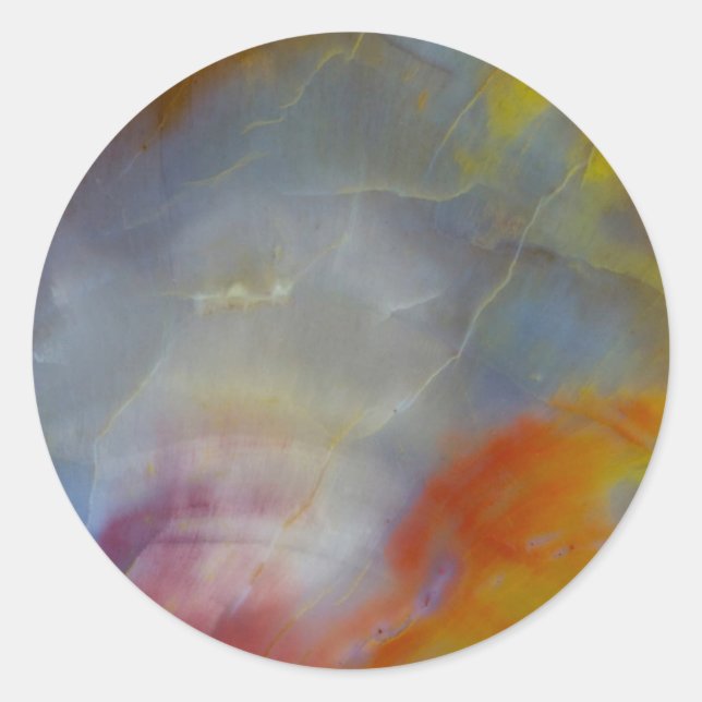 Abstract Petrified Wood close-up Classic Round Sticker (Front)