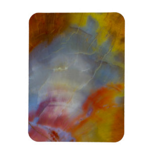 Abstract Petrified Wood close-up Magnet