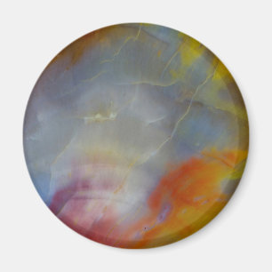 Abstract Petrified Wood close-up Magnet