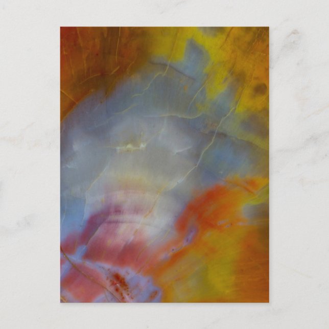 Abstract Petrified Wood close-up Postcard (Front)