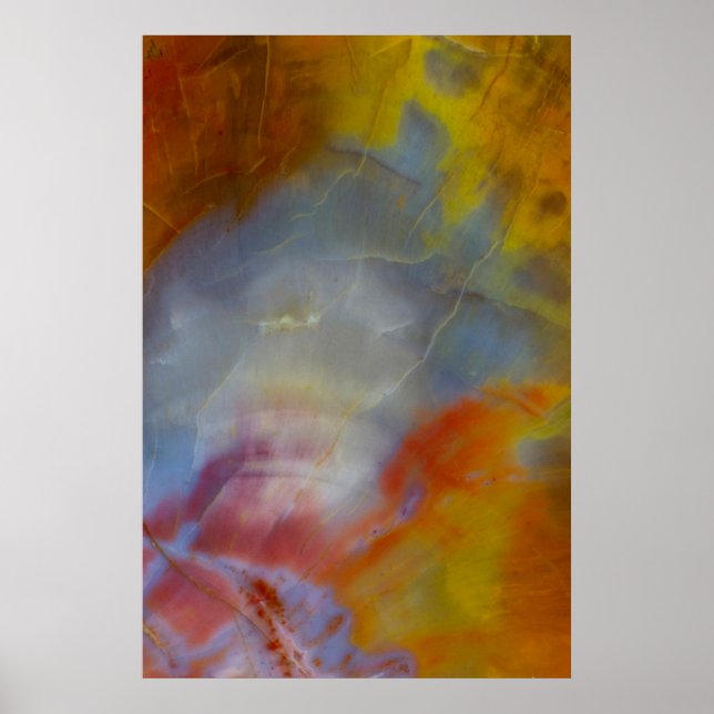 Abstract Petrified Wood close-up Poster (Front)